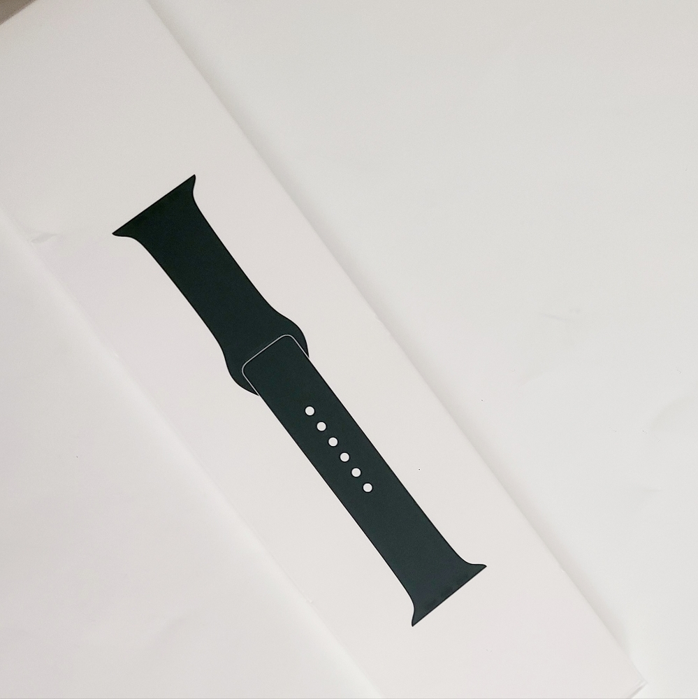 Apple Watch 45mm Graphite Band stainless steel pin